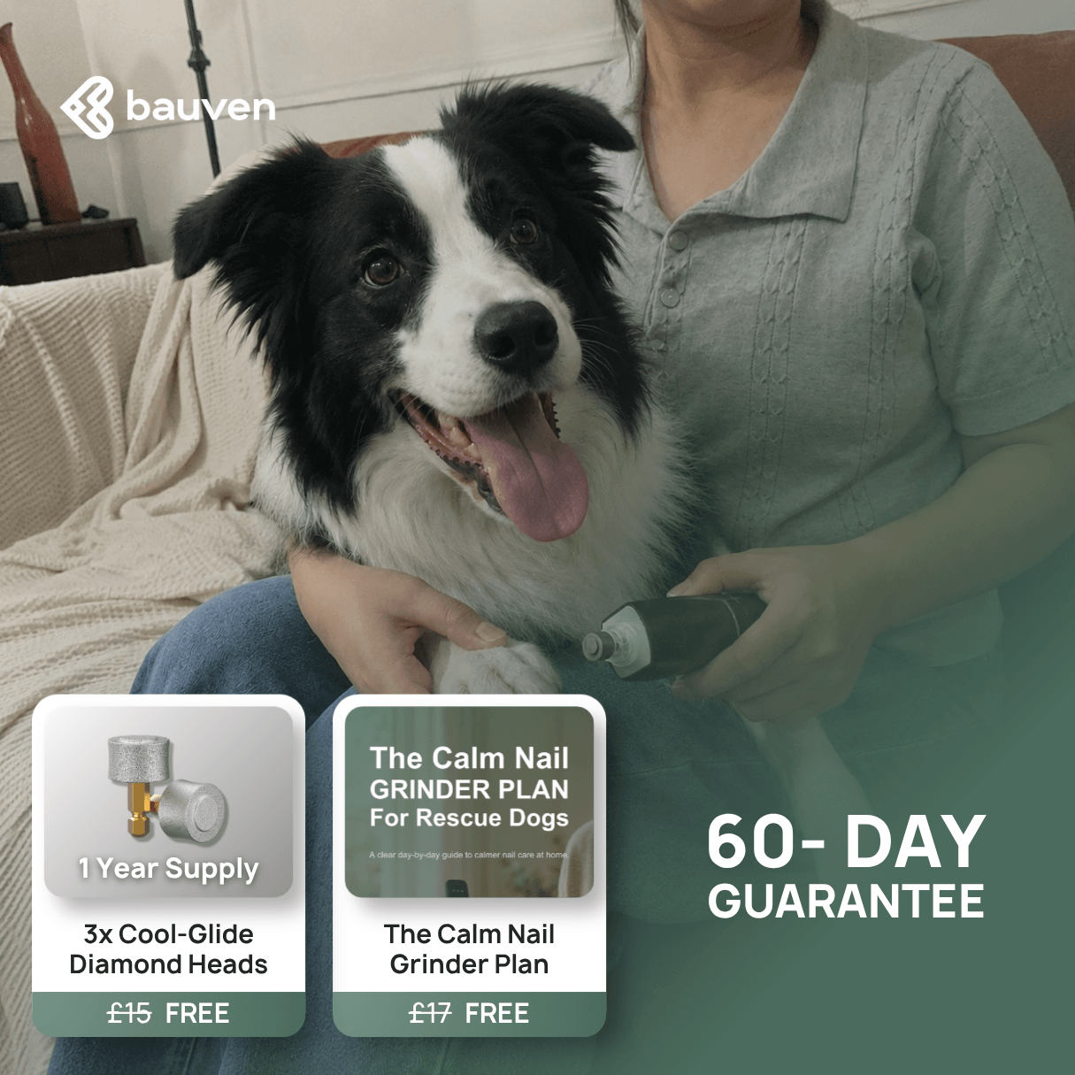 Bauven Dog Nail Grinder D3