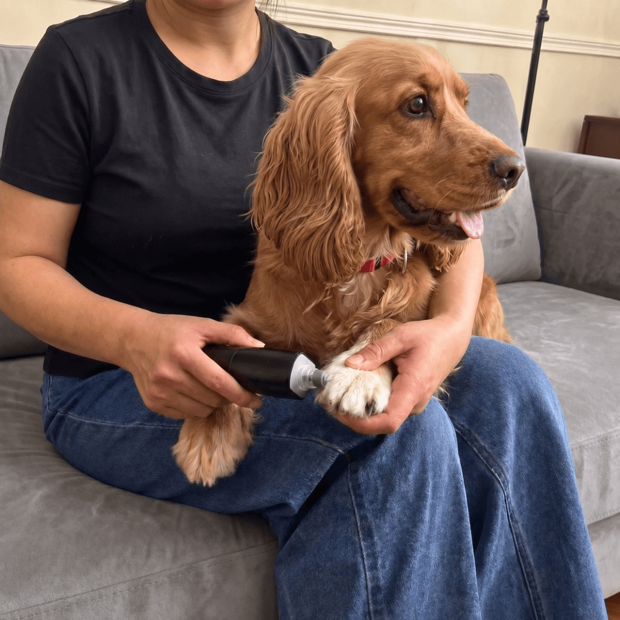 Dog Nails Grinder D2