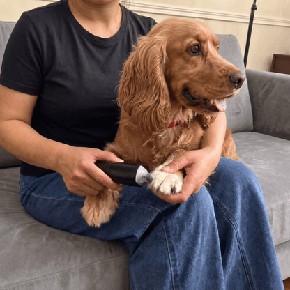 Dog Nails Grinder D2