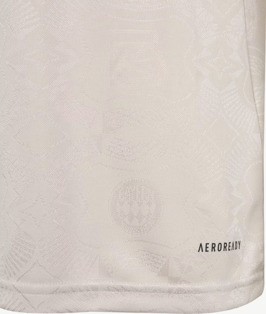 2025/26 Bayern Munich Commerative Special Edition Shirt