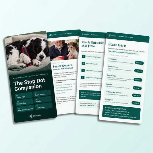 The Stop Dot Companion