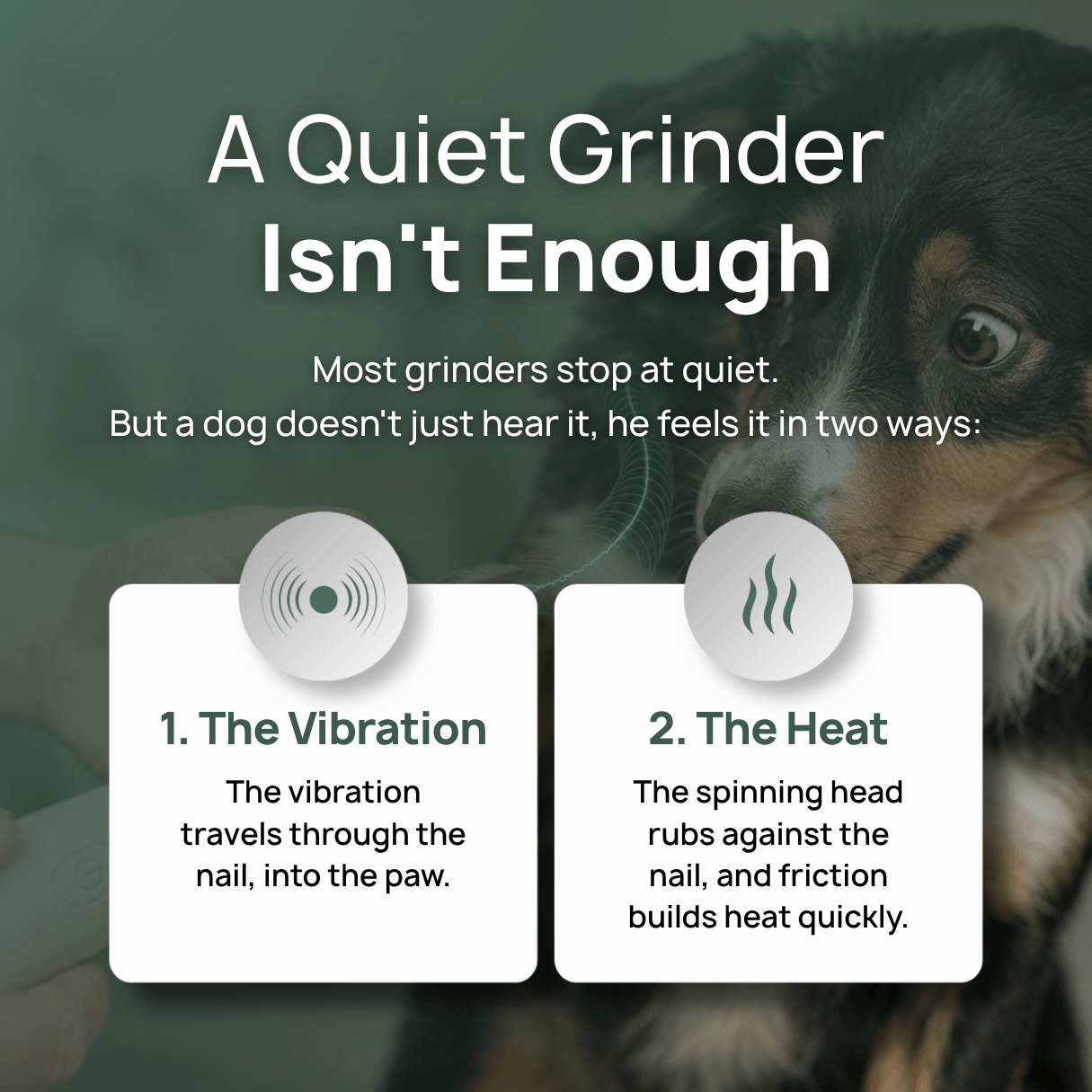 Dog Nails Grinder D2